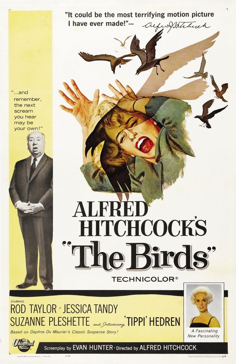Poster The Birds