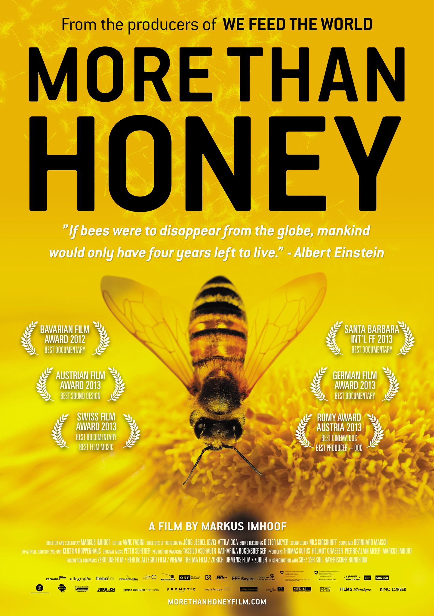 Poster More Than Honey