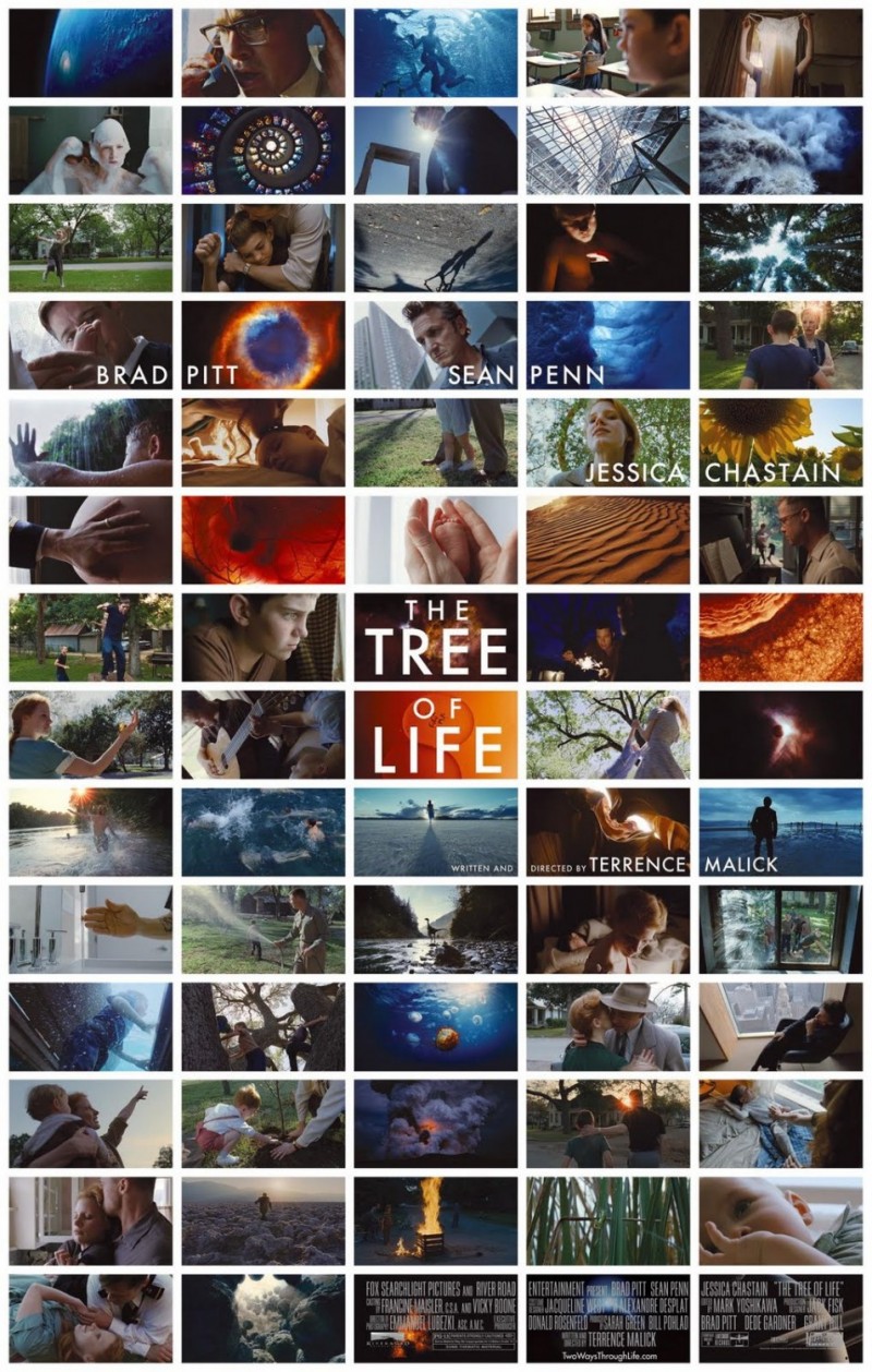 Poster The Tree Of Life