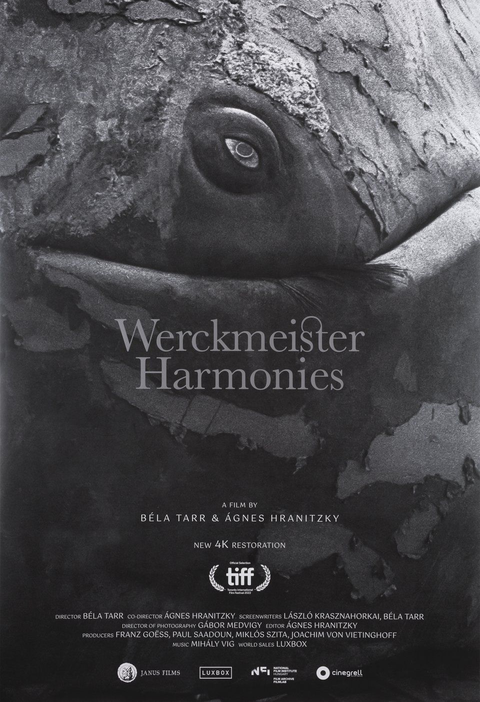 Poster Werckmeister Harmonies