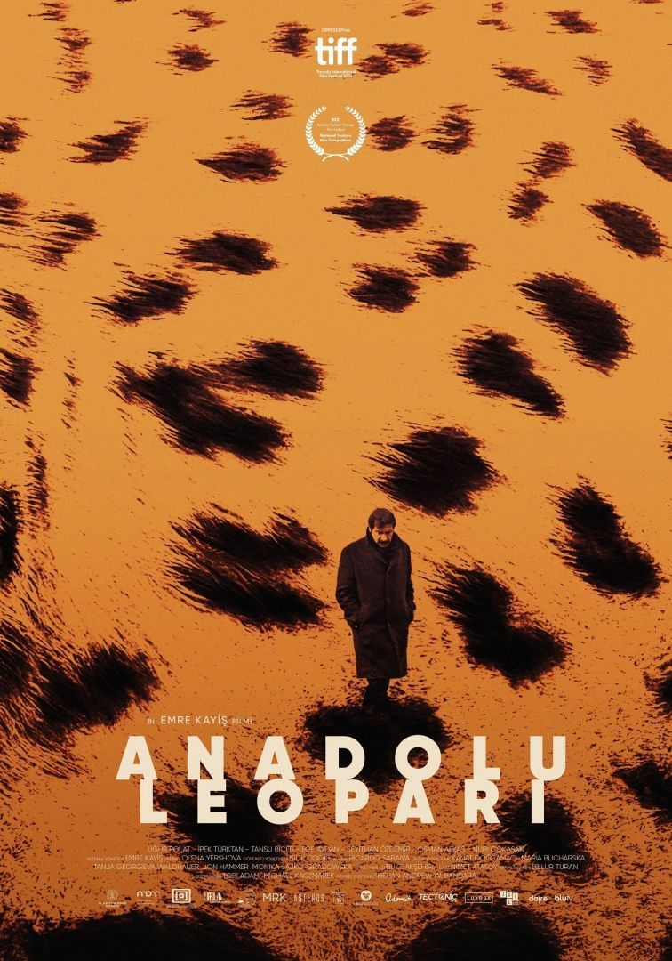 Poster Rode Tulp Film Festival: Anadolu Leopari