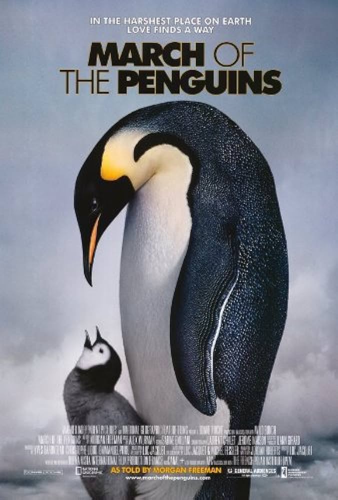 Poster Night Of The Penguins: March Of The Penguins incl. interview Marcel Haenen