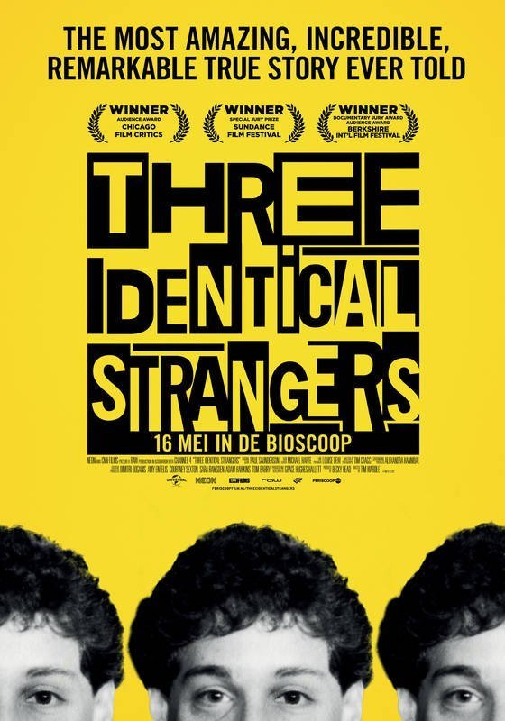 Poster Three Identical Strangers