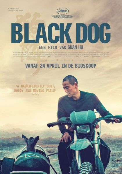 Black Dog