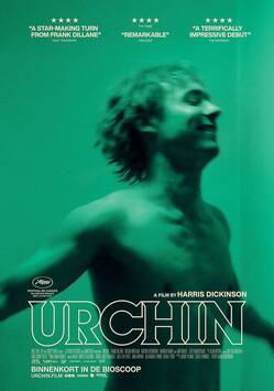 Poster Urchin